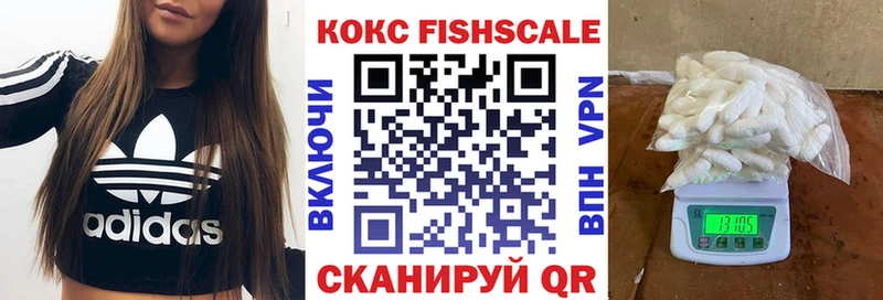 mega как зайти  Томмот  КОКАИН Fish Scale 