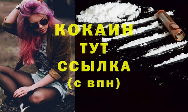 мдпв Бронницы