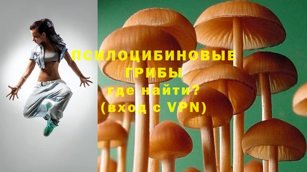 мдпв Бронницы